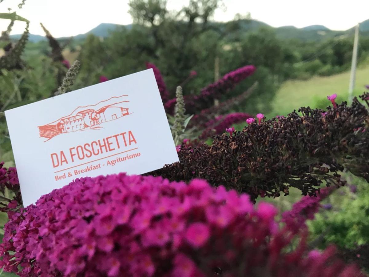 Villa Da Foschetta à Matelica Extérieur photo